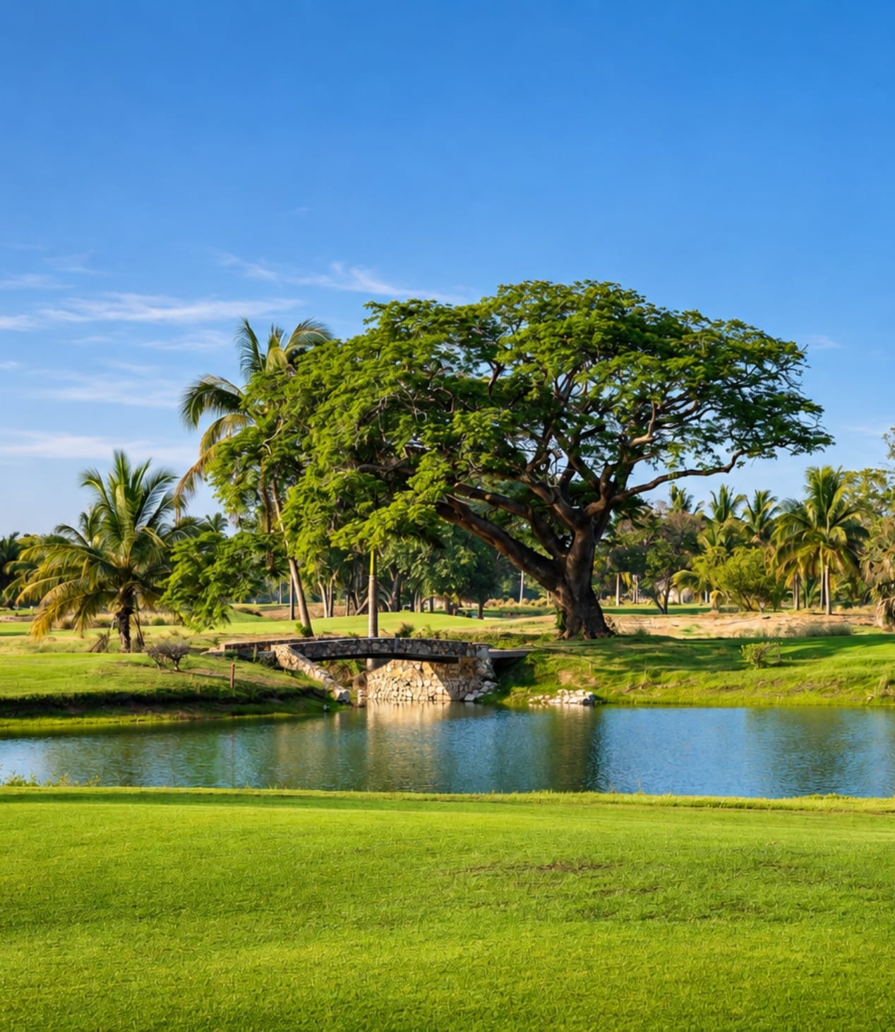GOLF HOME IMAGÉNES 2